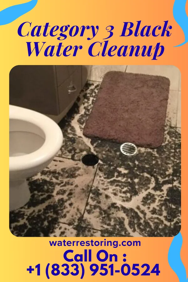 Category 3 Black Water Cleanup in Bay City, MI